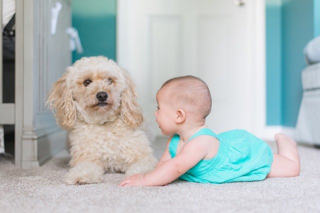 Soft carpets Soft rugs for kids