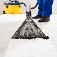 Carpet Steam Cleaning