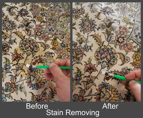 Removing carpet stains Stain Removal