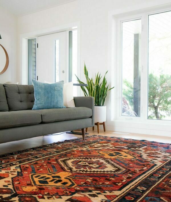 Budget friendly rug cleaning